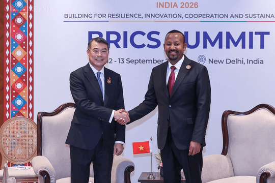 Việt Nam - Ethiopia thúc đẩy hợp tác thương mại, đầu tư