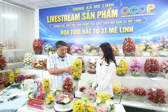 Xã Mê Linh đưa sản phẩm làng nghề lên không gian số