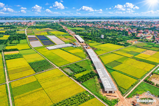Cầu Vân Phúc vươn nhịp nối Hà Nội - Phú Thọ