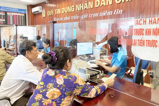 Nguồn vốn Quỹ tín dụng nhân dân đạt 18.490 tỷ đồng