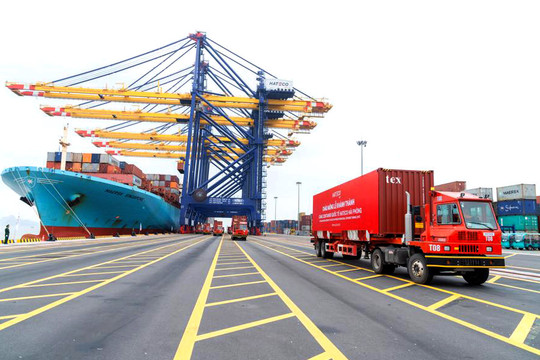 Hàng xuất khẩu không xuất khẩu, tiêu thụ trong nước phải nộp thuế tiêu thụ đặc biệt