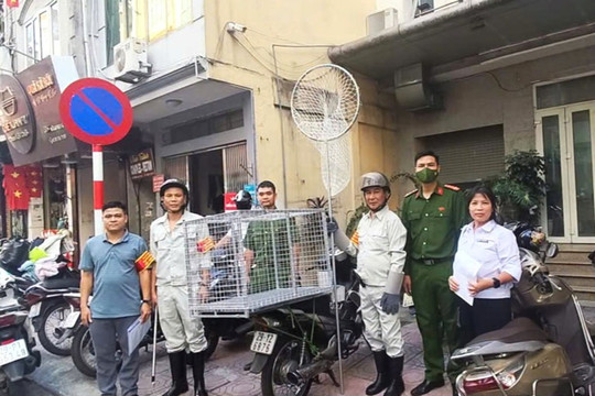 Nuôi "thú cưng" phải đi cùng trách nhiệm