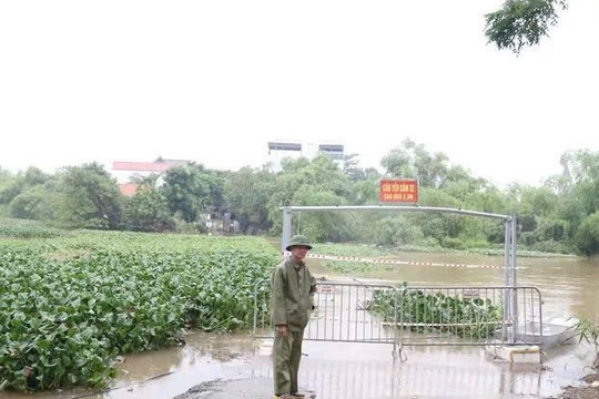Hà Nội: Lũ sông Đáy vượt báo động II, tạm dừng lưu thông qua cầu Lam Điền