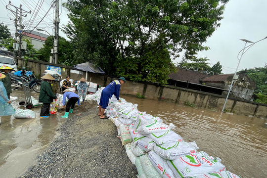 Chủ động ứng phó mưa lũ, bảo đảm an toàn vùng ven sông Đáy