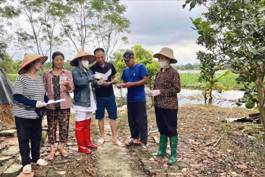 Kim Anh tập trung phòng, chống sốt xuất huyết mùa cao điểm
