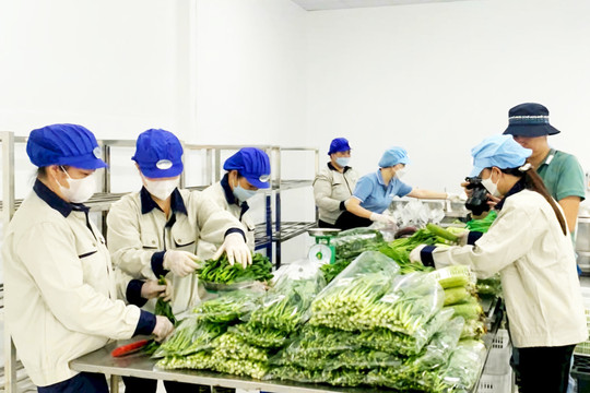 Khẩn trương hoàn thiện 8 dự án luật, nghị quyết để khơi thông nguồn lực phát triển