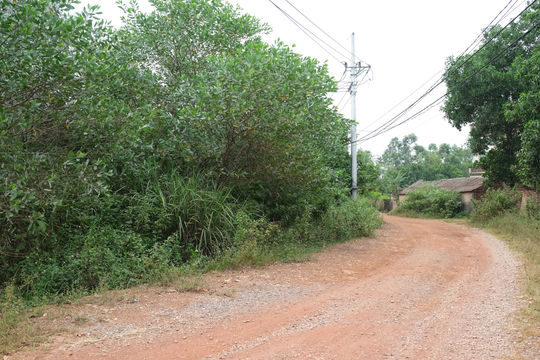 Xã Kim Anh gỡ vướng GPMB dự án của Sư đoàn 312