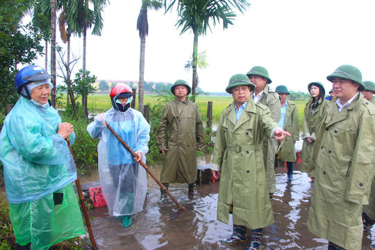 Chủ động hỗ trợ nông dân thu hoạch diện tích lúa bị ngập úng