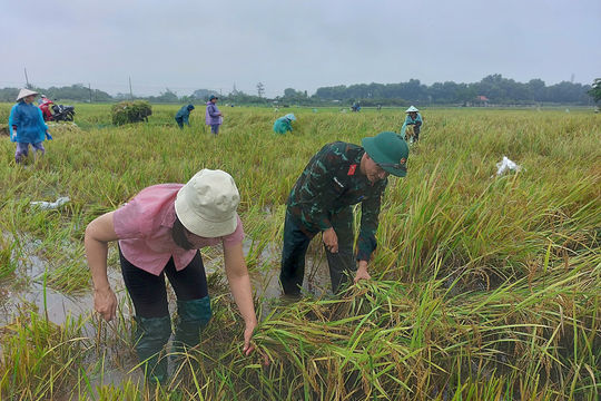 Xã Phúc Thọ: Nước sông Tích vẫn trên báo động III, nhiều diện tích sản xuất nông nghiệp bị ngập