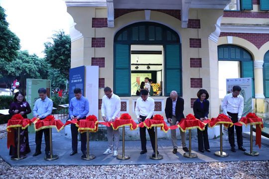 Khai trương triển lãm “Cây Hà Nội - Những bức ảnh về một di sản sống”