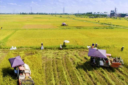 Tin tức đặc biệt trên ấn phẩm Hànộimới ngày 21-9-2026