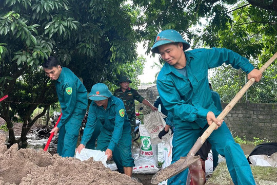 Hà Nội: Khắc phục kịp thời sự cố sạt mái đê sông Đáy