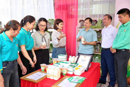 Hội Nông dân Sơn Đồng đồng hành với hội viên, nông dân trong quảng bá, tiêu thụ sản phẩm