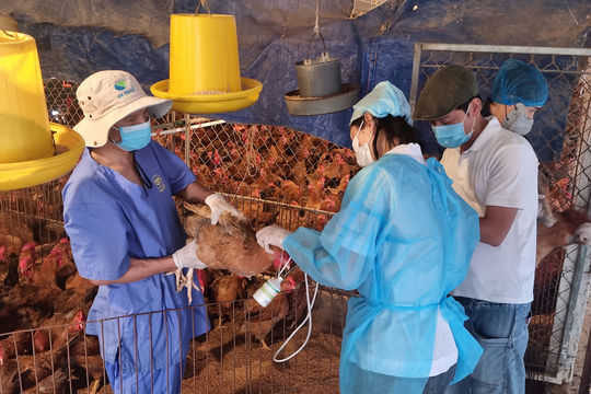 Kiểm tra công tác phòng dịch, quản lý giết mổ tại xã Sơn Đồng