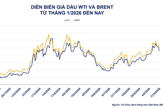 Giá dầu lao dốc, đậu tương bật tăng
