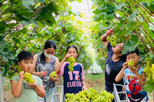 Quỹ Hỗ trợ nông dân Hà Nội: Thúc đẩy phát triển nông nghiệp bền vững