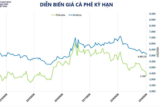Thị trường hàng hóa giằng co, giá cà phê chạm đáy 3 tháng