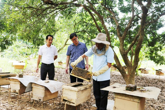 Nâng cao giá trị kinh tế của nông sản địa phương qua "chợ số"