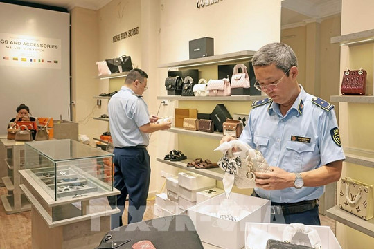 Hoàn thiện pháp luật, tăng năng lực thực thi quyền sở hữu trí tuệ