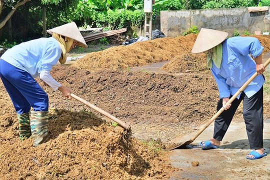 Biến phụ phẩm nông nghiệp thành nguồn lực sản xuất