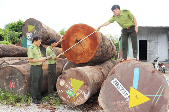 Ngành gỗ Hà Nội: Gỡ nút thắt từ nguyên liệu đến thị trường