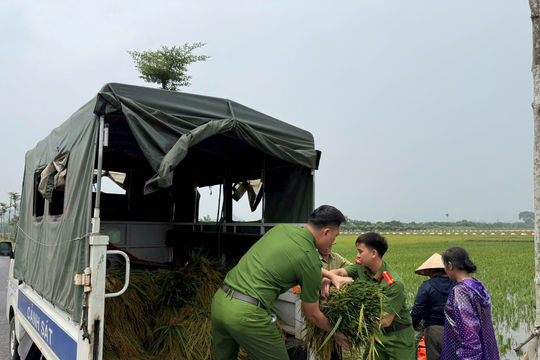 Điểm tựa bình yên ở xã Hồng Sơn