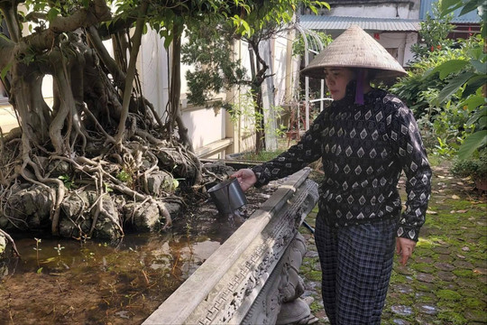 Xã Đan Phượng siết chặt phòng dịch, không để sốt xuất huyết lan rộng