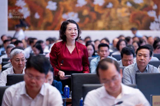 Đánh giá kỹ khi nâng mức xử phạt tối đa với vi phạm hành chính