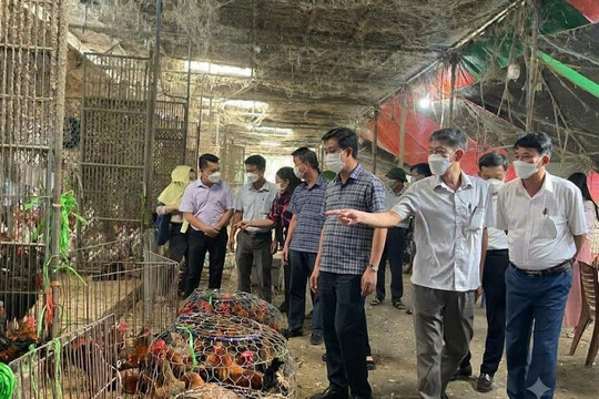 Siết an toàn thực phẩm từ chợ đầu mối