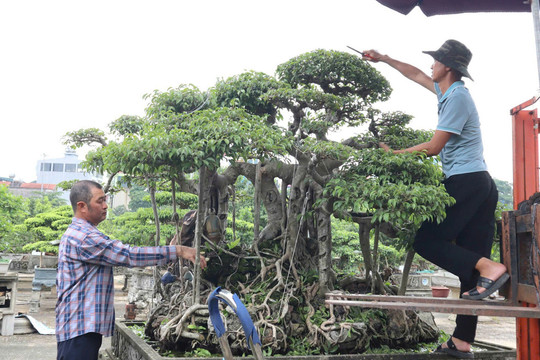 Hội Nông dân xã Thiên Lộc tiếp sức cho hội viên làm giàu trên quê hương