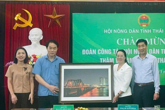 Mở hướng bền vững cho kinh tế nông nghiệp