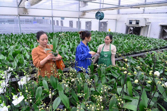 Tin tức đặc biệt trên ấn phẩm Hànộimới ngày 5-10-2026