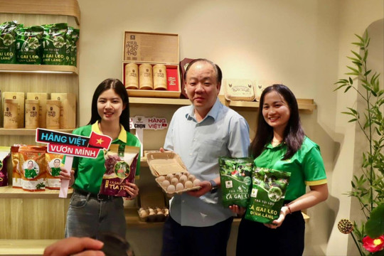 Hàng Việt cần sức sống từ thị trường