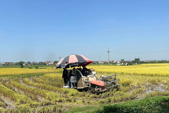 Ứng Hòa phát huy sức mạnh của hệ thống chính trị, tạo đà phát triển kinh tế