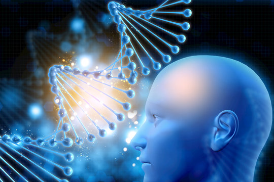 Giải Nobel Y học 2026: Công cụ mới giúp giải mã bệnh về thần kinh