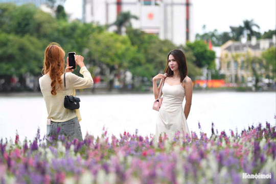 Sắc tím mới gọi mùa thu về bên Hồ Gươm