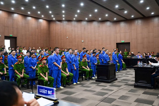 Cựu Viện trưởng Viện Pháp y tâm thần trung ương bị tuyên phạt 20 năm tù