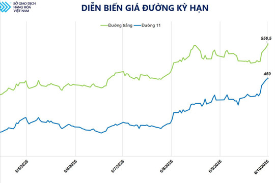 Nhóm hàng hóa họ đậu đồng loạt tăng giá