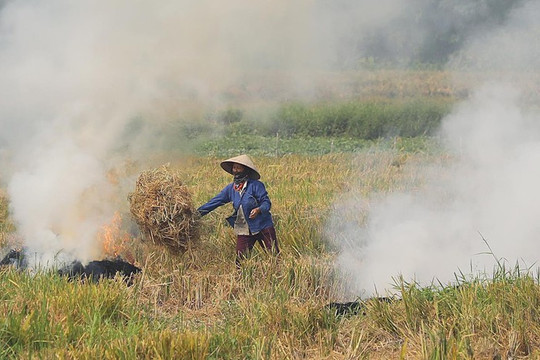 Hà Nội yêu cầu các xã, phường xử lý nghiêm hành vi đốt rơm rạ