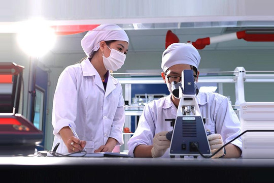Tạo bệ đỡ chính sách, tiếp sức cho doanh nghiệp công nghệ