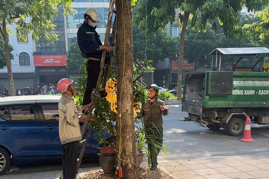 Cầu Giấy tăng cường quản lý trật tự đô thị, chào mừng Ngày Giải phóng Thủ đô