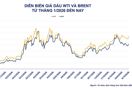 Giá dầu thô tăng hơn 4%, quặng sắt chạm đáy 18 tháng