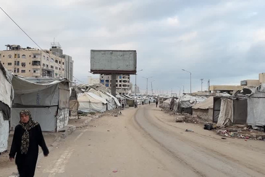 Palestine hoãn bầu cử lập pháp, ấn định tổng tuyển cử vào tháng 9-2027