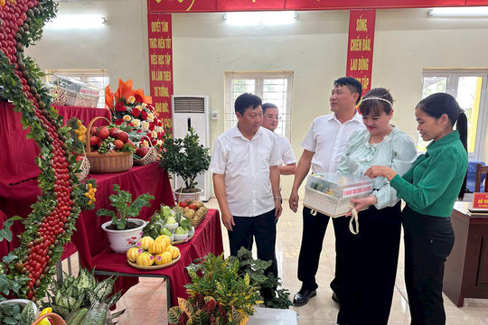 Xã Đại Xuyên kết nối, đưa hàng Việt đến người tiêu dùng