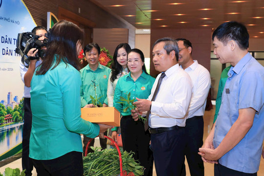 Hà Nội gắn thu hồi đất với chuyển đổi nghề, bảo đảm sinh kế cho nông dân