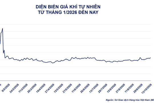 Nguồn cung LNG thắt chặt, ngô Mỹ chịu sức ép vụ mùa dồi dào