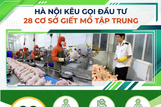 Hà Nội kêu gọi đầu tư 28 cơ sở giết mổ tập trung