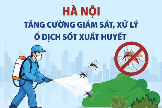 Hà Nội tăng cường giám sát, xử lý ổ dịch sốt xuất huyết