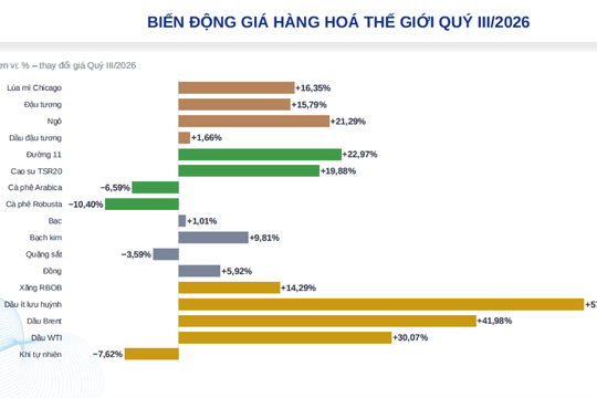 Làn sóng đầu tư mới đổ vào thị trường hàng hóa Việt Nam