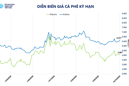 Giá cà phê tăng phiên thứ ba, bạc chạm đáy 10 tuần